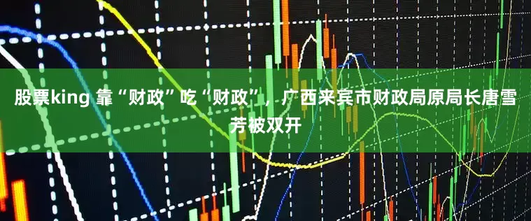 股票king 靠“财政”吃“财政”，广西来宾市财政局原局长唐雪芳被双开