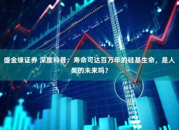 盛金缘证券 深度科普：寿命可达百万年的硅基生命，是人类的未来吗？