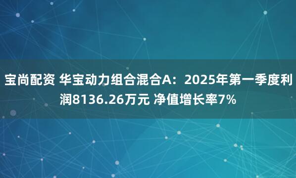 宝尚配资 华宝动力组合混合A：2025年第一季度利润8136.26万元 净值增长率7%