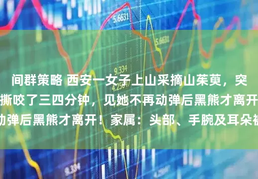 间群策略 西安一女子上山采摘山茱萸，突然被黑熊从身后扑倒撕咬了三四分钟，见她不再动弹后黑熊才离开！家属：头部、手腕及耳朵被咬伤